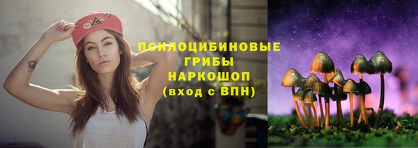 каннабис Беломорск