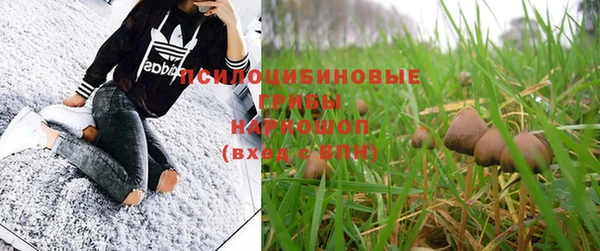 каннабис Беломорск